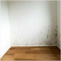 진도 주택 아파트 공장 결로검사 결로공사 시공업체-6106670